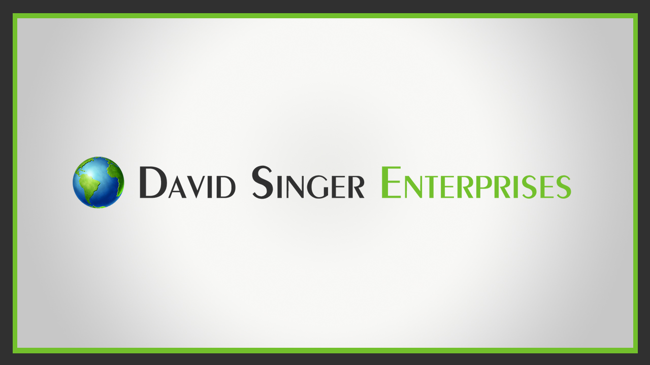 David Singer Enterprises brand identity